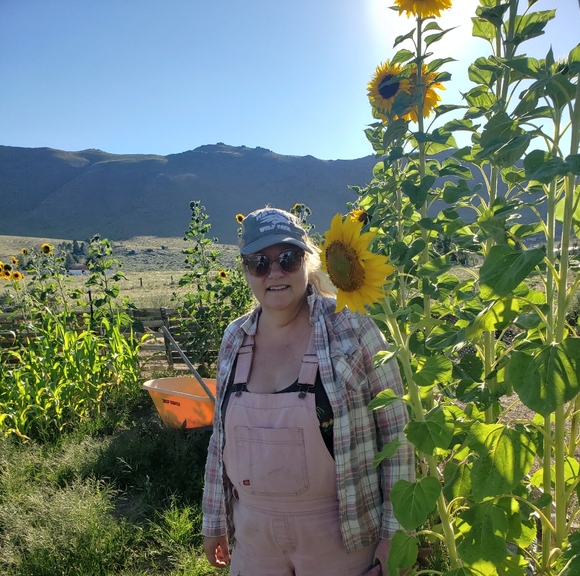 Meet your Posher, Sue - Picture 2 of 2